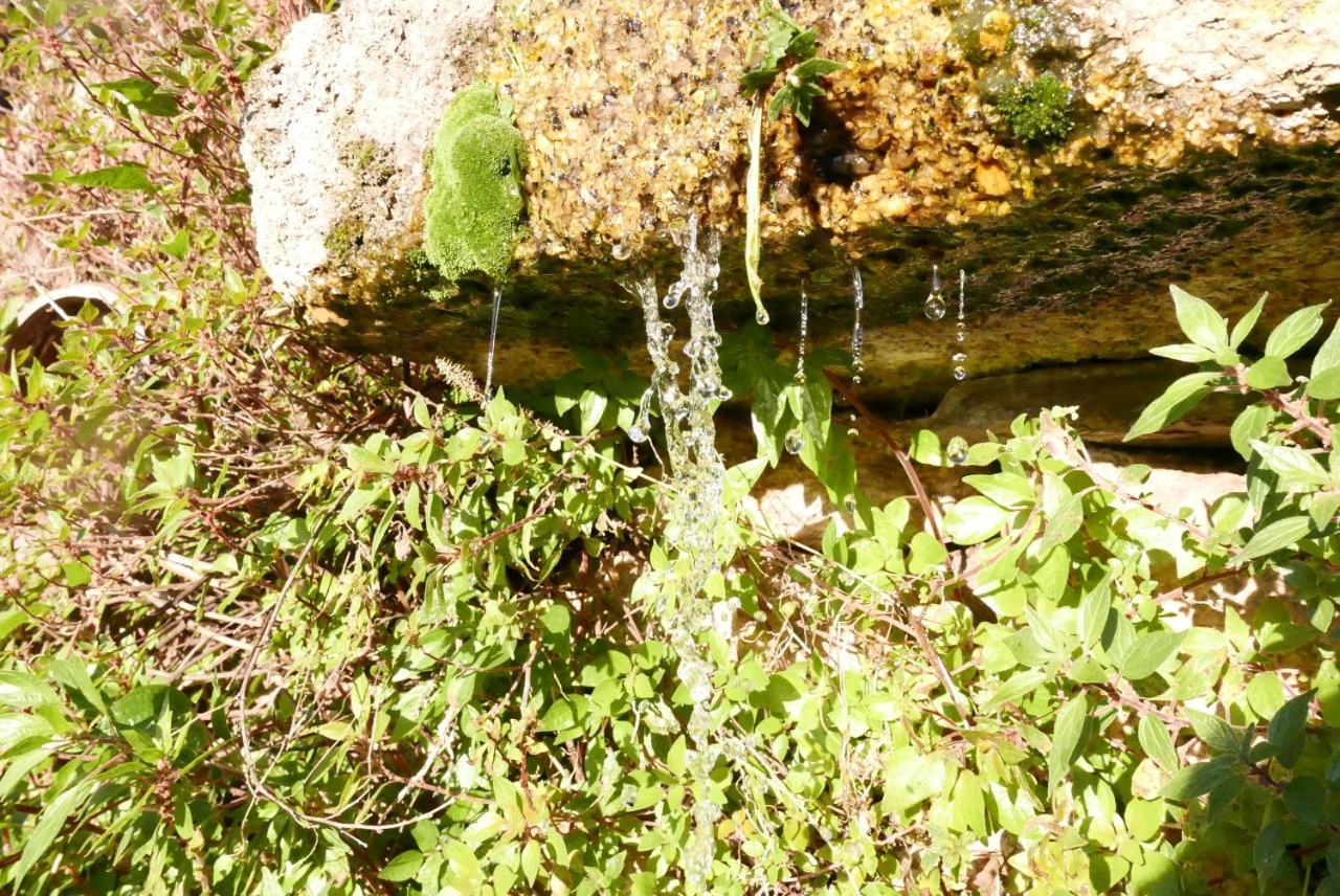 Casa Do Meio Em Quinta De Sao Pedro De Vir-A-Corca Monsanto Eksteriør bilde