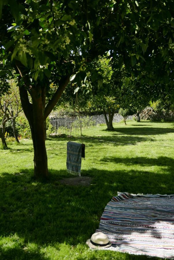 Casa Do Meio Em Quinta De Sao Pedro De Vir-A-Corca Monsanto Eksteriør bilde