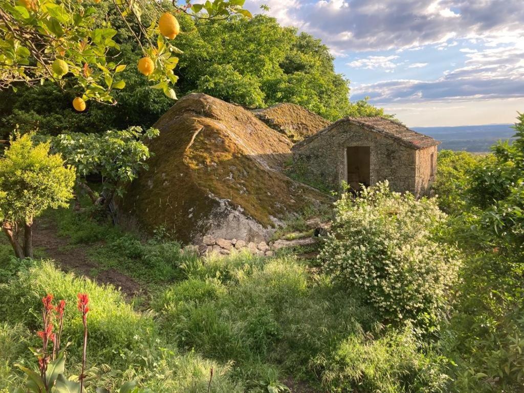 Casa Do Meio Em Quinta De Sao Pedro De Vir-A-Corca Monsanto Eksteriør bilde