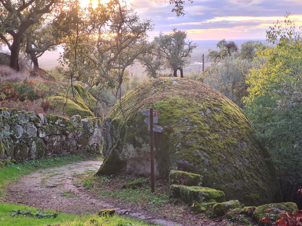 Casa Do Meio Em Quinta De Sao Pedro De Vir-A-Corca Monsanto Eksteriør bilde