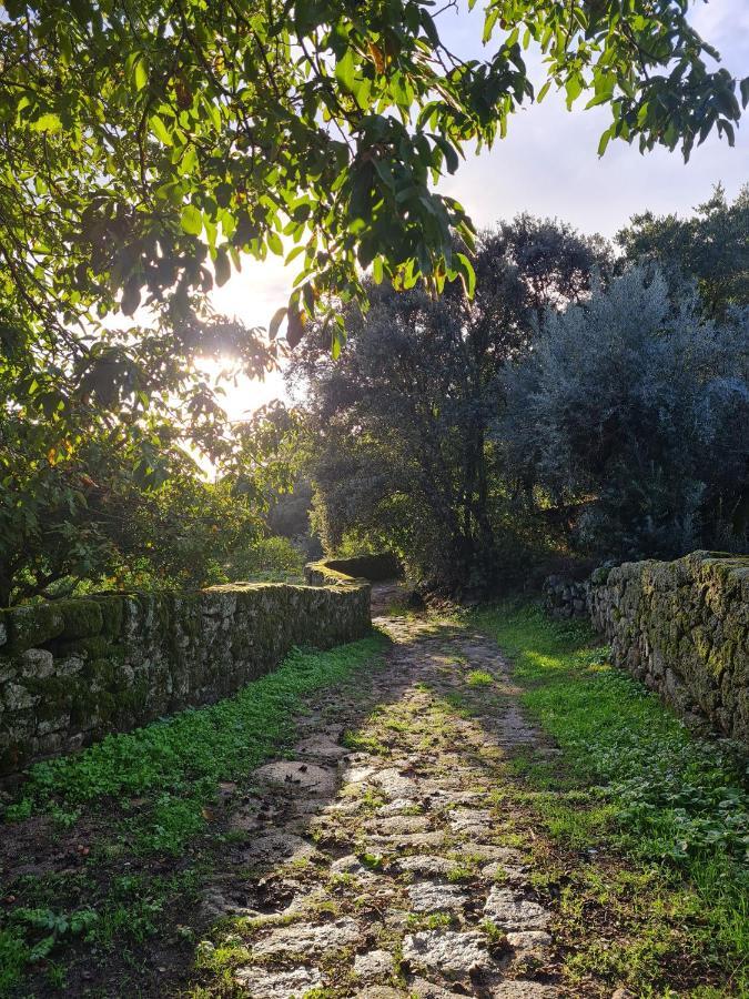 Casa Do Meio Em Quinta De Sao Pedro De Vir-A-Corca Monsanto Eksteriør bilde