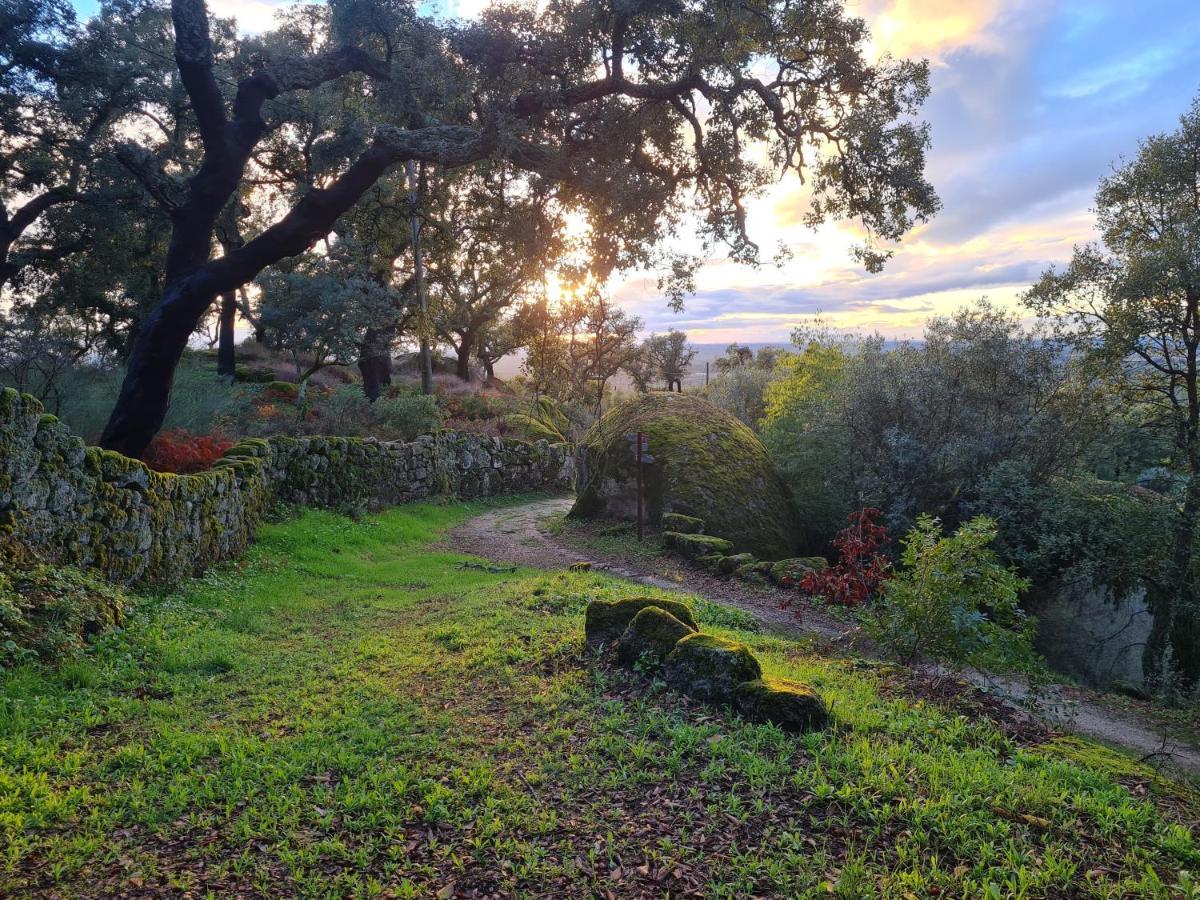 Casa Do Meio Em Quinta De Sao Pedro De Vir-A-Corca Monsanto Eksteriør bilde